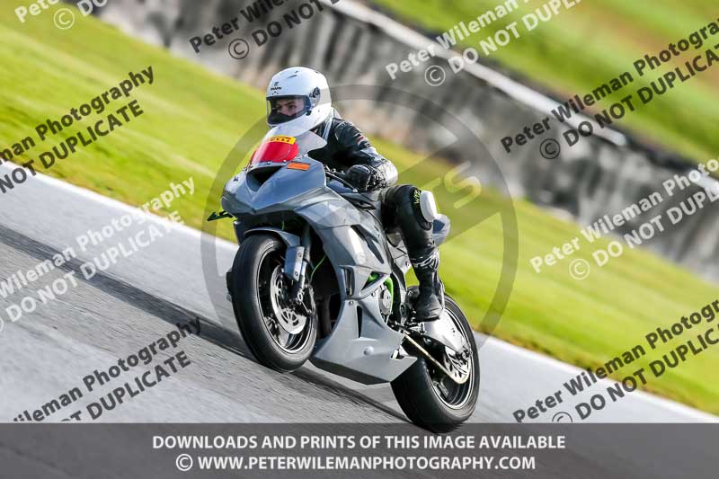 Oulton Park 14th March 2020;PJ Motorsport Photography 2020;anglesey;brands hatch;cadwell park;croft;donington park;enduro digital images;event digital images;eventdigitalimages;mallory;no limits;oulton park;peter wileman photography;racing digital images;silverstone;snetterton;trackday digital images;trackday photos;vmcc banbury run;welsh 2 day enduro